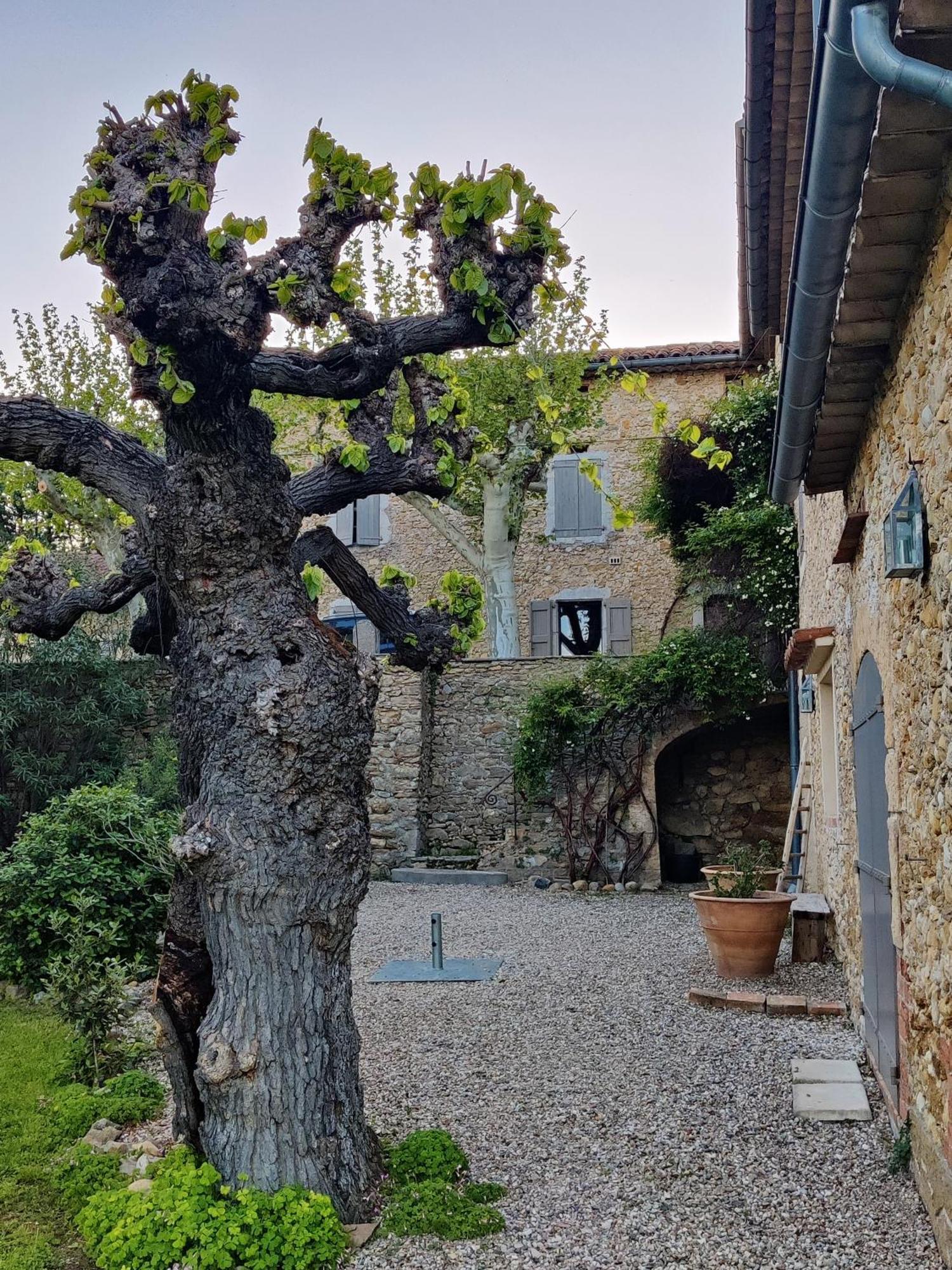 Gite Proche De La Bambouseraie Boisset-et-Gaujac Exterior photo